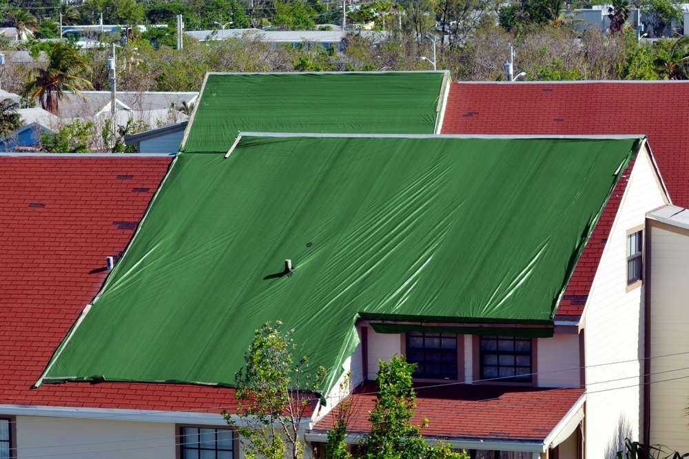 Plandeka Gruba Wzmacniana 4x5m Zielona Mrozoodporna+uv Wodoodporna fv