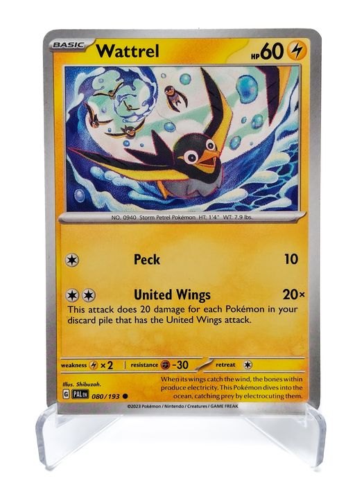 Wattrel 080/193 karta pokemon Paldea Evolved