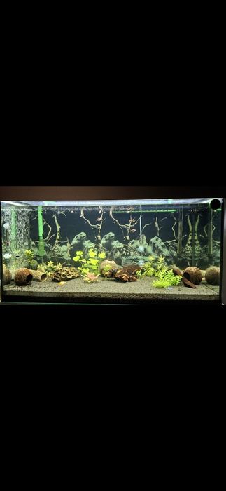 Akwarium 220L, pełne i profesjonalne wyposażenie