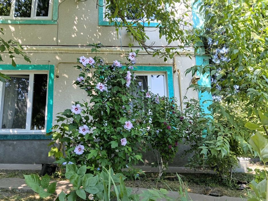 Продаж будинку в селі