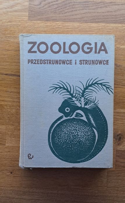 Zoologiczny przedstrunowce i strunowce