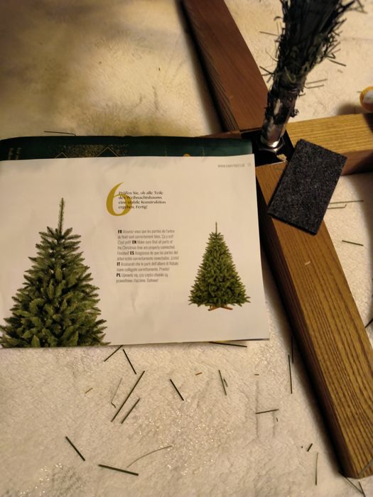 CHoinka 220cm jodła nordmanna