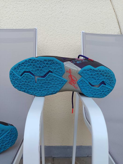 Nike basket LeBron James 11