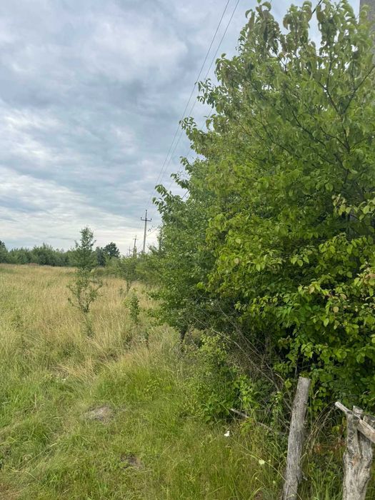 Земельна ділянка с. Боянець