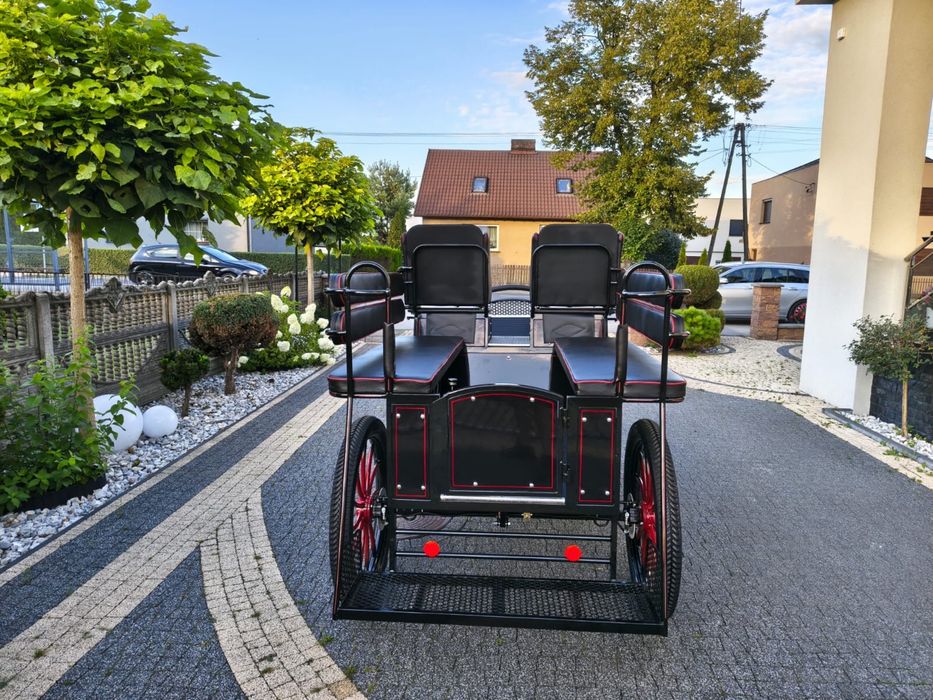 Bryczka konna treningowa powóz wagonetka
