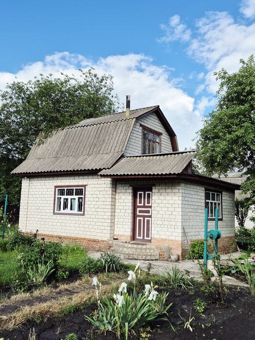 Продаж дачі  с. Хвилівка