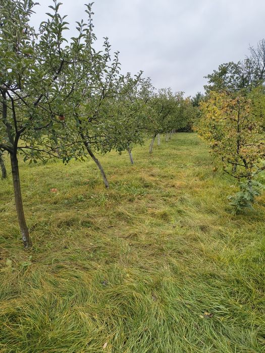 Продається земельна ділянка