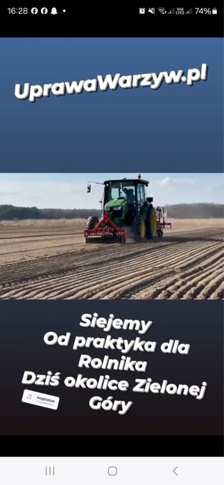 Siew cebuli . Usługowy. Usługa.