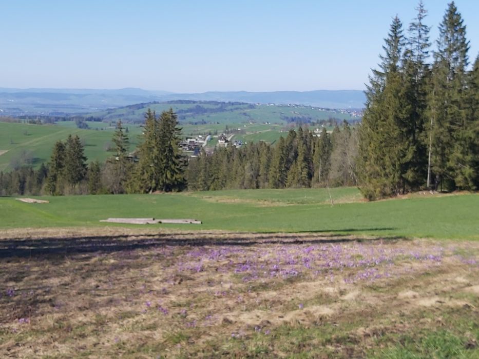 Wypoczynek w górach. Apartament u Basi Zakopane-Dzianisz-Chochołów