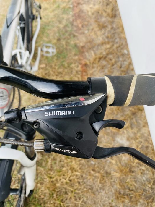 Rower Lazaro Evolution V