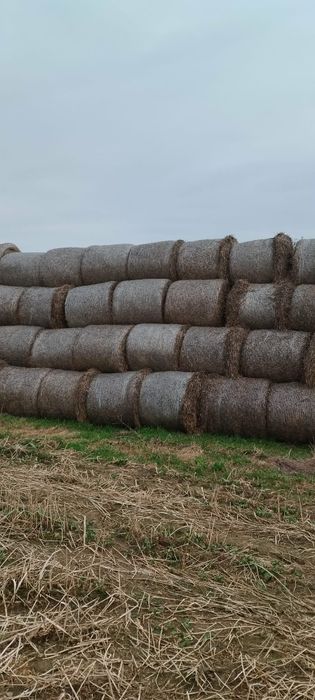 Sprzedam słomę i sianokiszonkę