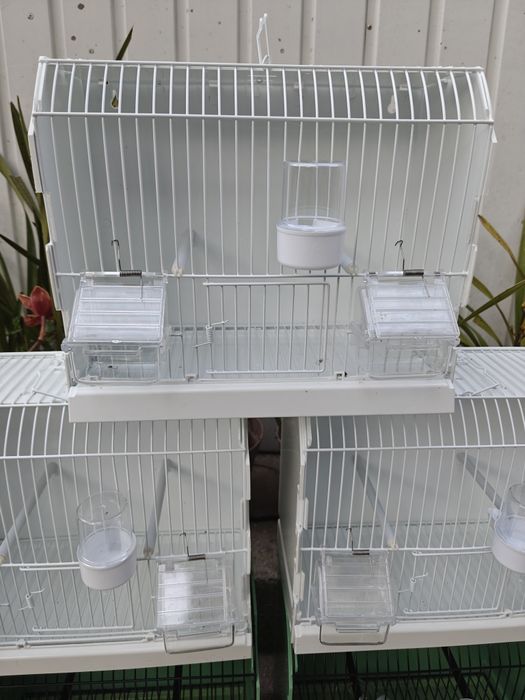 Gaiolas de exposição