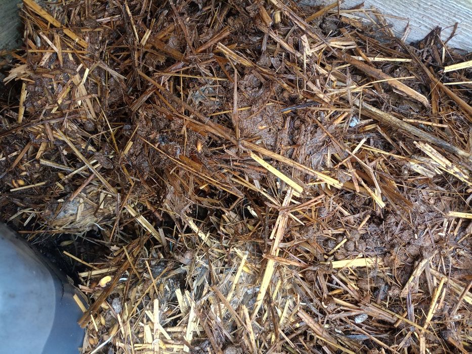 Obornik króliczy ekologiczny