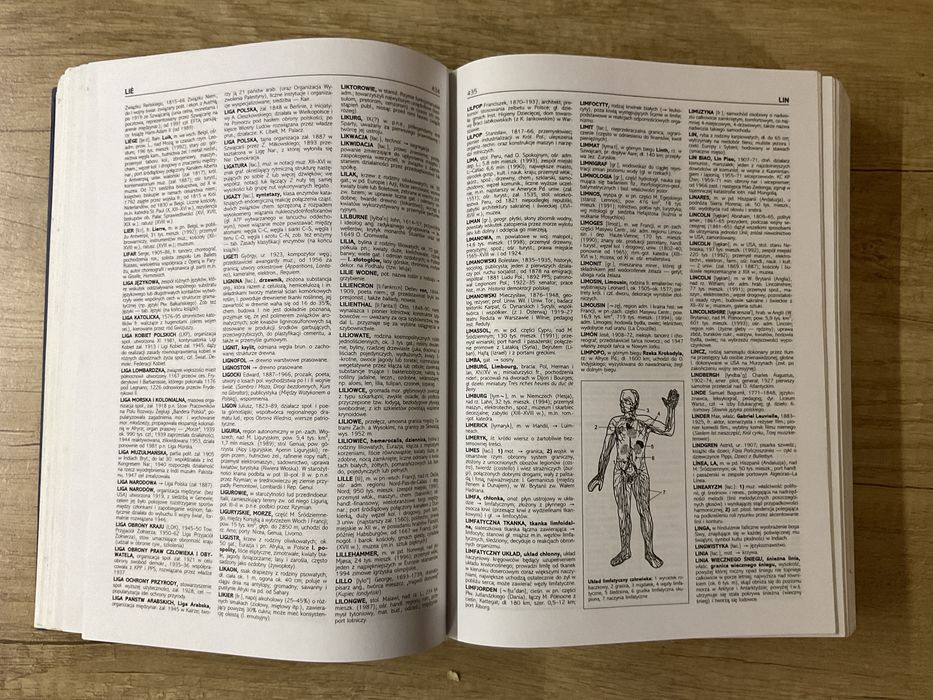Encyklopedia A-Z PWN Twarda Oprawa