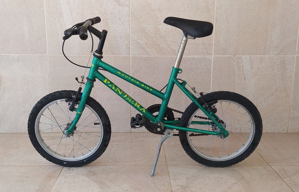 Bicicleta criança