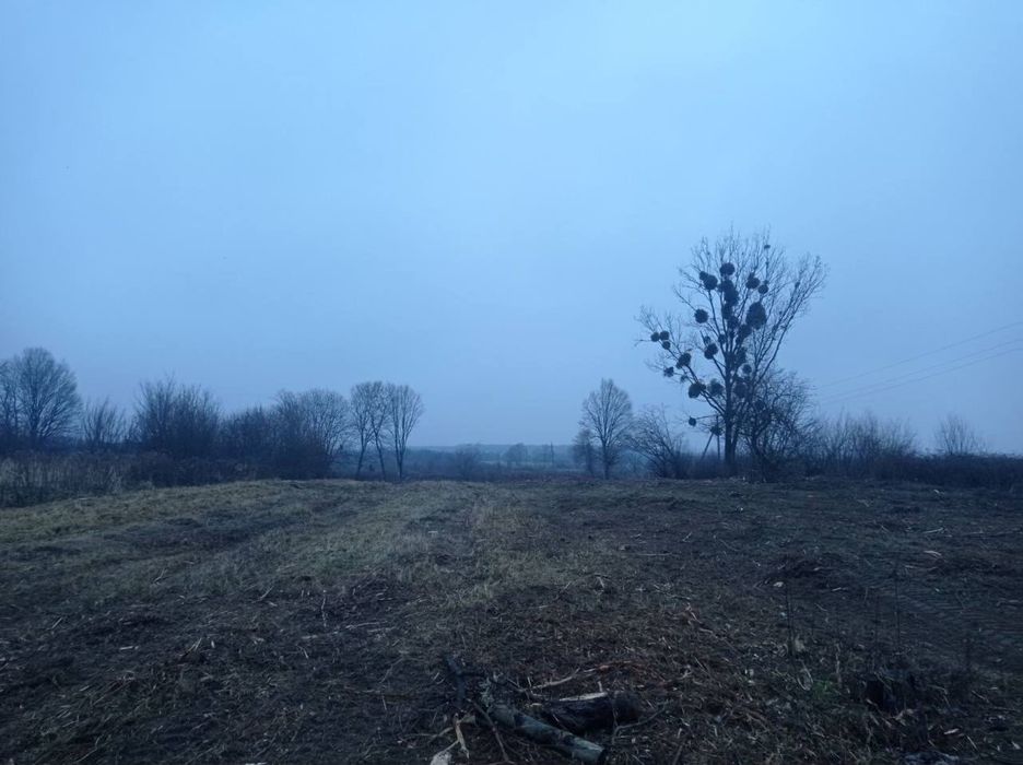 Земельна ділянка Конопниця.