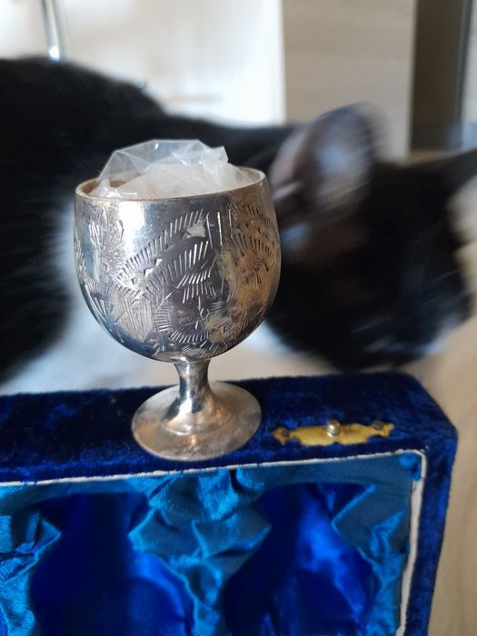 Calices banhado a prata EPNS