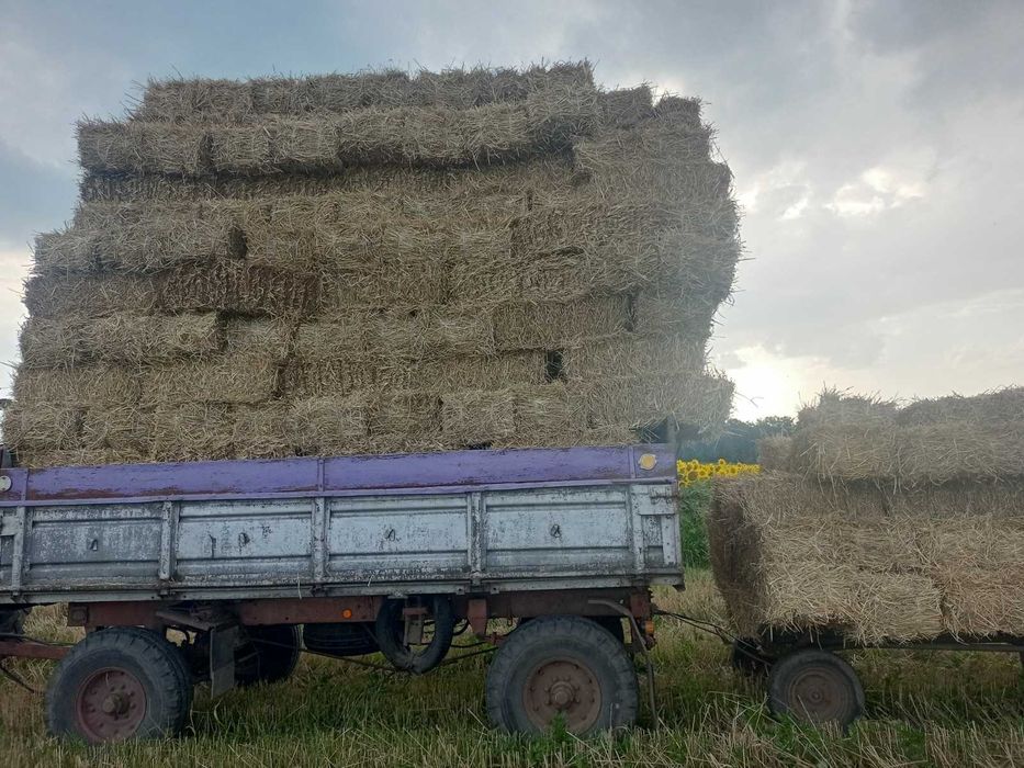 Терміново солома