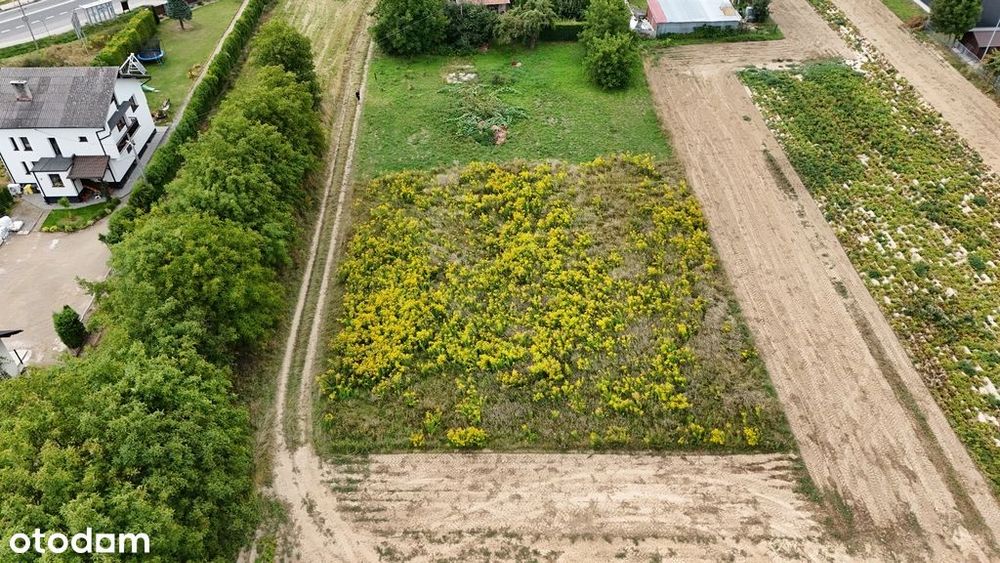 Działka 16,69 ar | Domiarki | budowlano-zagrodowa - Widok 3