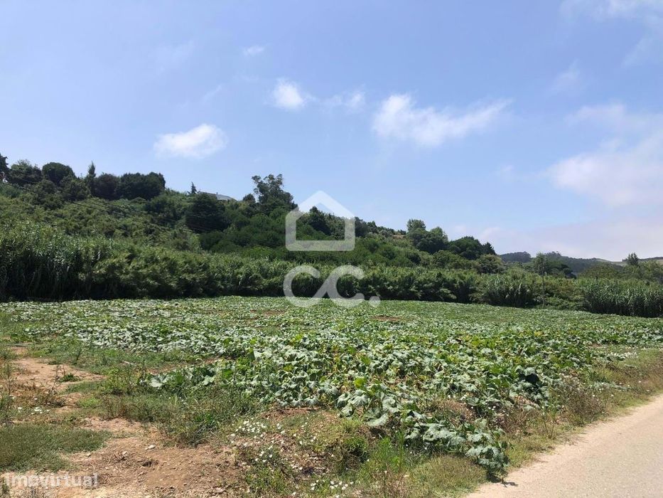 Excelente terreno agrícola com 4760 m2 — Lourinhã E Atalaia, Lisboa