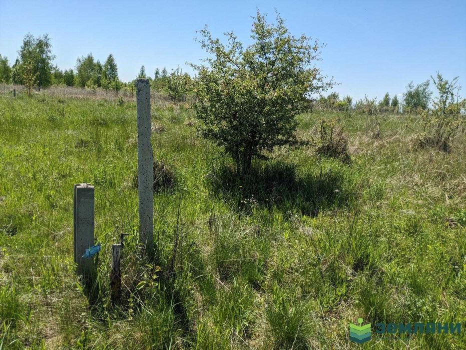Продається земельна ділянка 12 соток під будівництво в с.Колодіївка (5)