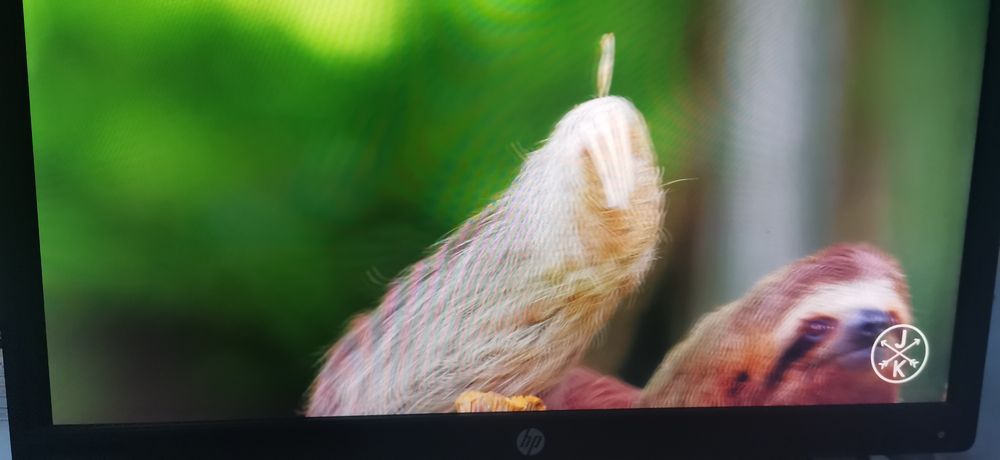 HP Elite display e222 monitor