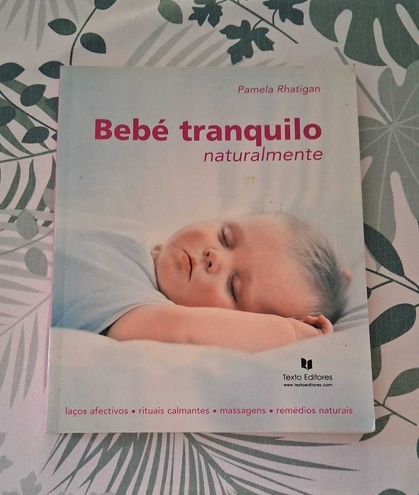Conjunto de livros sobre gravidez e bebés