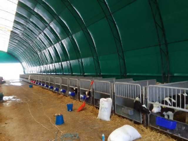 hala lukowa 16x50, obora na bydło, hala na bale, szerokości do 20 metr