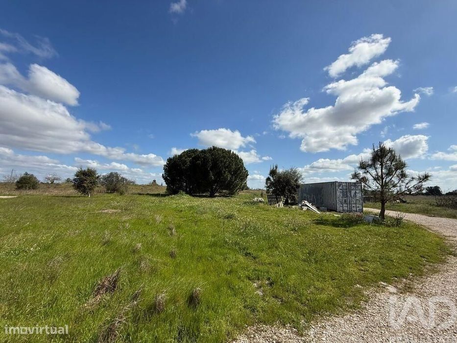 Terreno Agrícola em Palmela