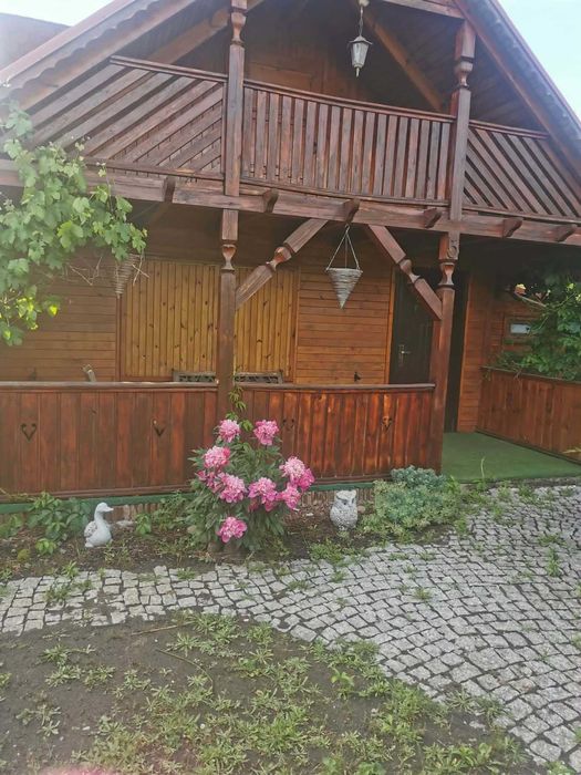 Działka ROD z dużym domkiem, łazienką, kominkiem, tarasem – Wronki - Widok 2