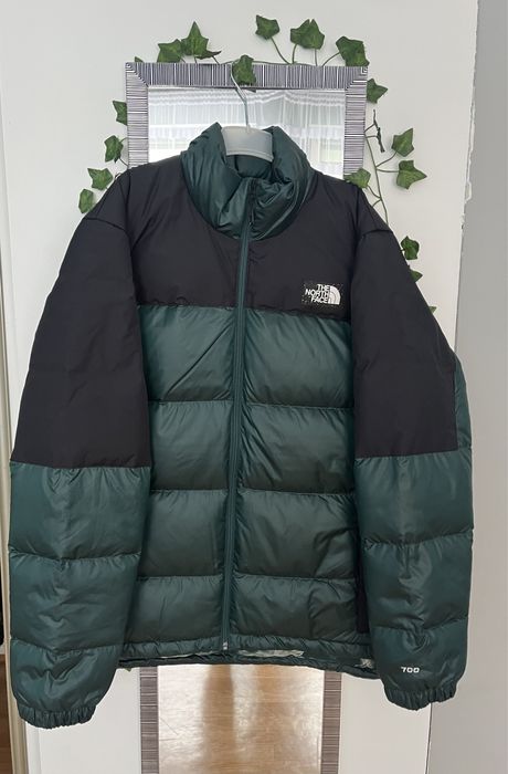 Kurtka The north face