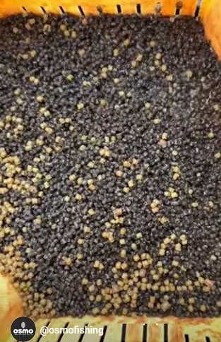 Pellet zanętowy OSMO AILEN 2mm 800g WrocłaW