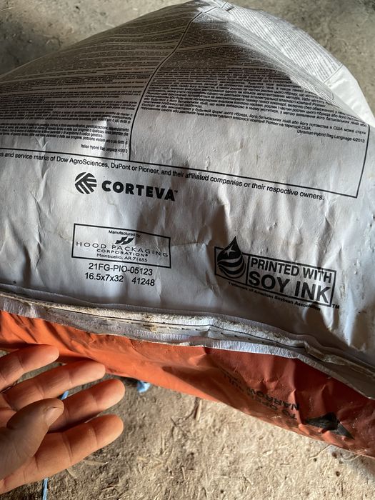 Семена pioner 66