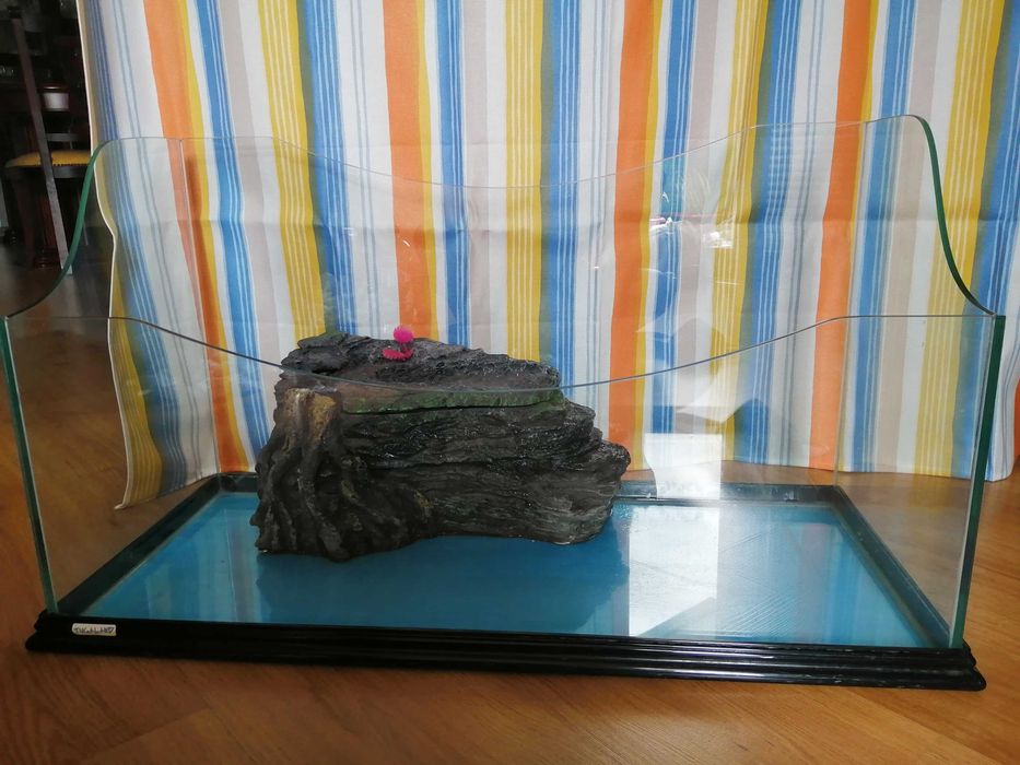 Aquário em bom estado