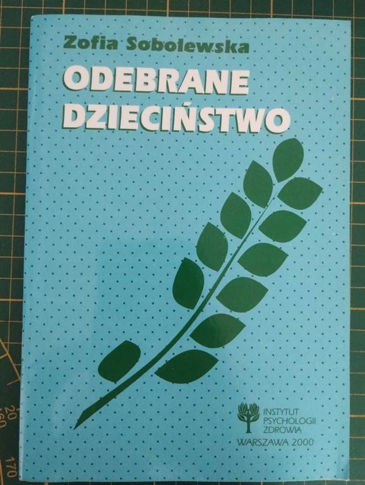 Odebrane dzieciństwo DDA problemy Dorosłych Dzieci Alkoholików