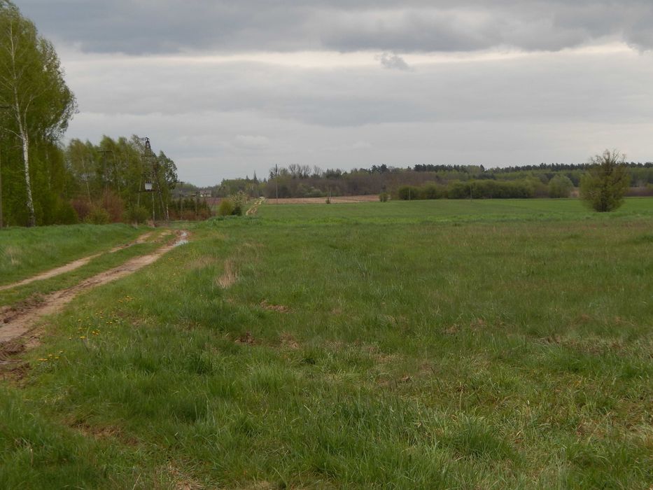 Działka Rekreacyjno - Budowlana (prąd, gaz )  1500 m2 W.Z.