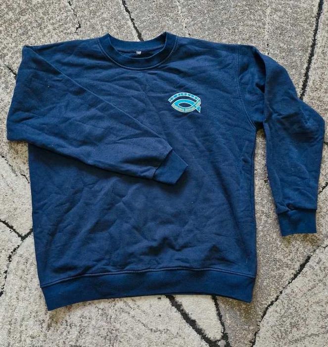 Bluza meska rozm L niebieska