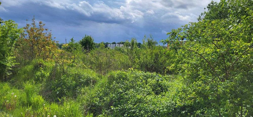 Продаж 7 суміжних ділянок в Солонці (2 лінія від траси, 1.4 га)