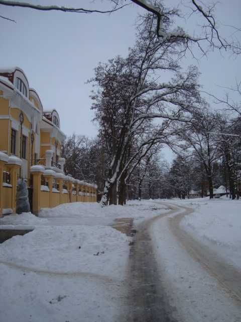 Пуща-Водиця, вул Юнкерова 40 сот або 2 ділянки по 20 сот