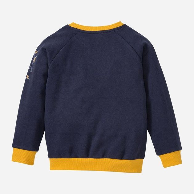 Реглан на флісі lupilu