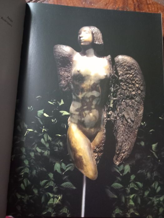 Livro Miguel Veiga