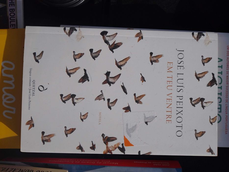 Em teu ventre - José Luís Peixoto