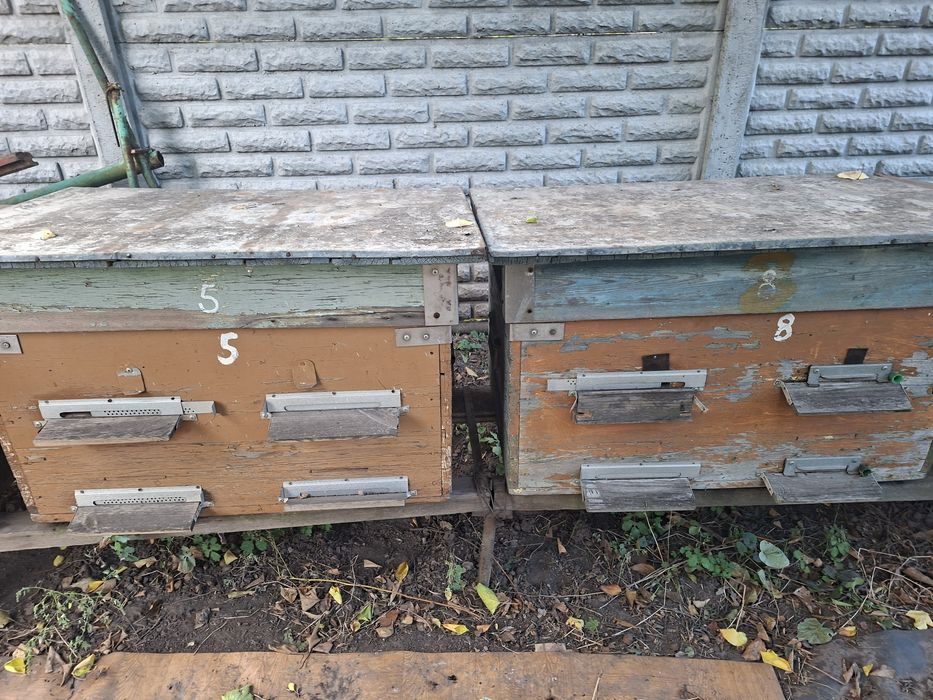 Продам вулики 9шт.з рамками.Самовивоз з ж/м Ігрень