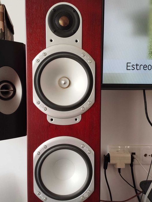 Monitor Audio Silver RS8513481846114887686