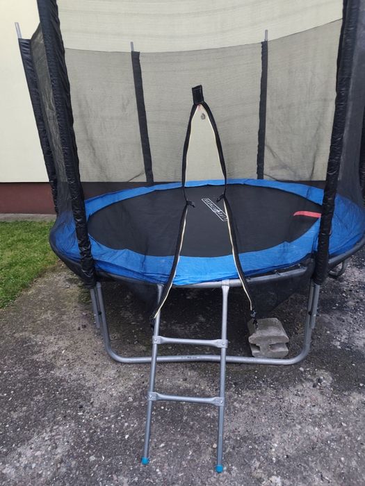 Trampolina 250cm