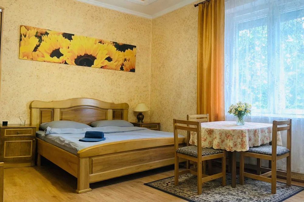 Затишний будинок у серці Закарпаття (с.Поляна, Свалява, Мукачево)