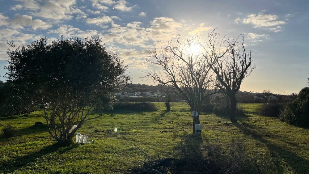 Terreno rústico sito junto à zona urbana de Algoz