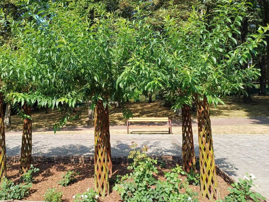 Polska Palma! Wierzba Pleciona! Zajączek! Hurt i detal! Transport w PL