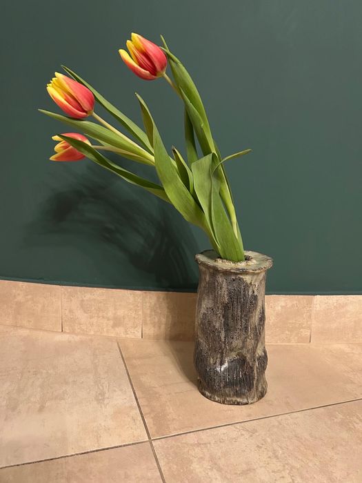 wazon ręczna robota