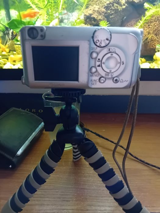 Aparat fotograficzny cyfrowy